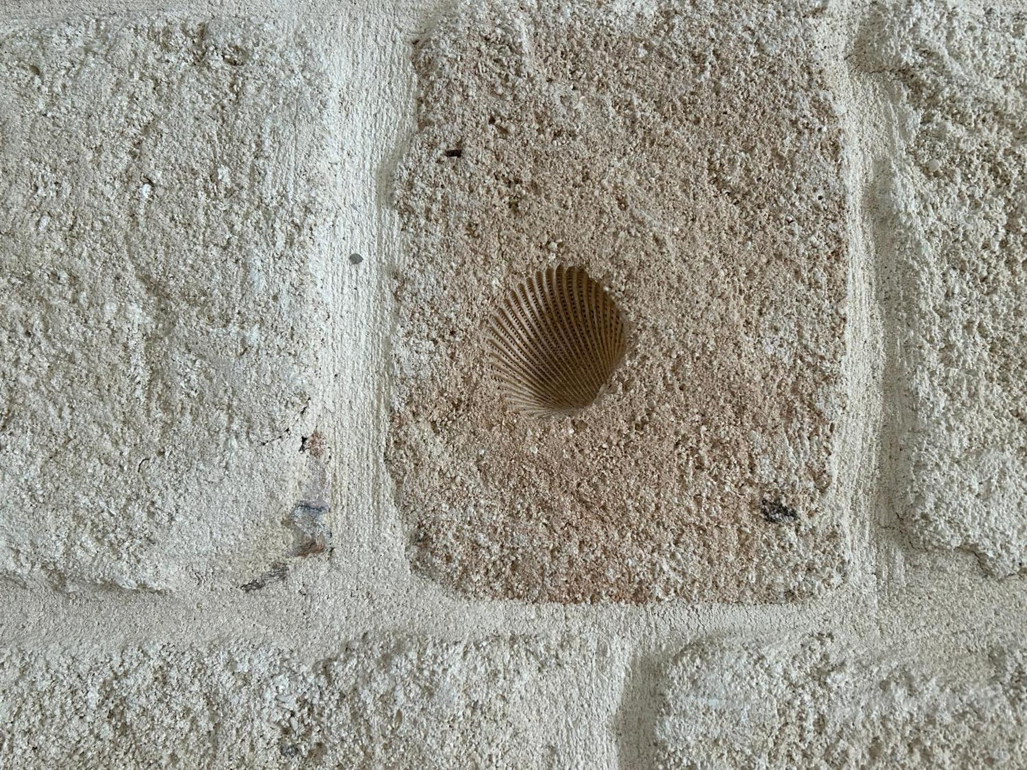 דירות מונופולי Casa Rosaria מראה חיצוני תמונה